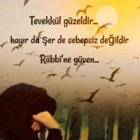 orijinal ses