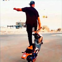الصوت الأصلي