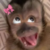 original sound - feely_home