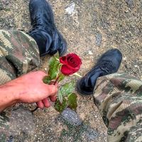 eybecer_cenab_29