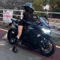 ladybooss01