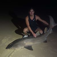 unknfisho