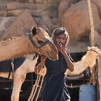 الصوت الأصلي