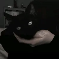 original sound - x.lay.art.x