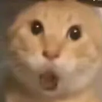 original sound - hfzibe28061