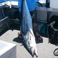 original sound - bigfinfishing