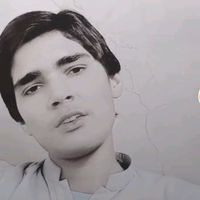 sajidalee001