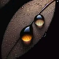 original sound - annu55390