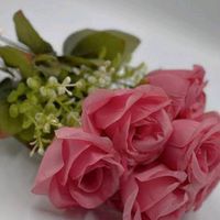 bnt_.halep.123