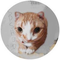 original sound - Spsh00 (Cat ver.)