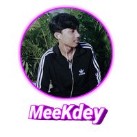 www.tiktok.commeekdeyz
