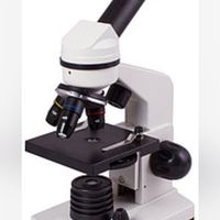 microscopic777