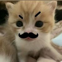 georgy0a