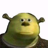 dudumeme99