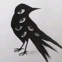 swdfiw