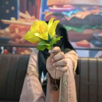 suborna_akter_suzata