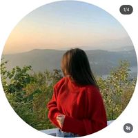 34dila65