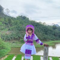 nhạc nền - FB: Gầuu Xanhh