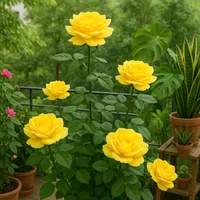 original sound - xylophone675