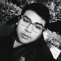jhostin_ziii