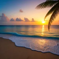 original sound - dmms051325