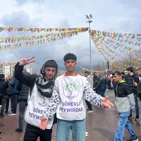 orijinal ses