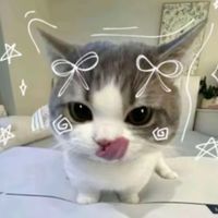 user3763255619806