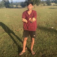 user3974500002536