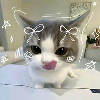 เสียงต้นฉบับ - MEEYALAEXER