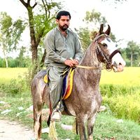 akhtar.gondal26
