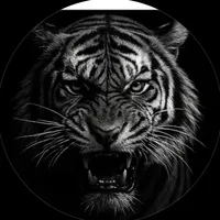 original sound - azhar_neyazi_786