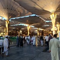aloosh8038