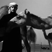 الصوت الأصلي