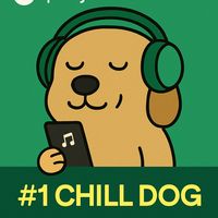 nhạc nền - #1CHILLDOG