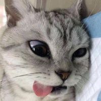 nawsawmu1