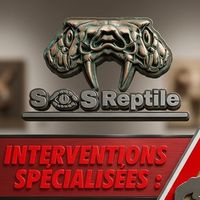 baye_zalle_sos_reptile
