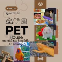 original sound - Pet House-ផ្ទះសត្វ