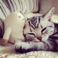 เสียงต้นฉบับ - ᴛʜᴜɴɢᴘᴀɴɢ