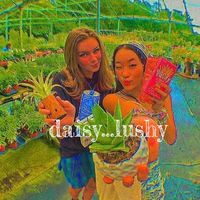 daisy...lushy