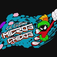 _microschidos_