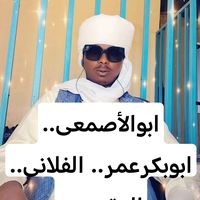 الصوت الأصلي