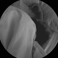 suara asli - user16194990712432
