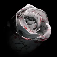 original sound - twntyt0