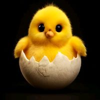 pagal_larki936