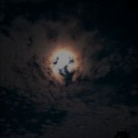 song9.9