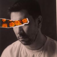 Shad Ovez 5050