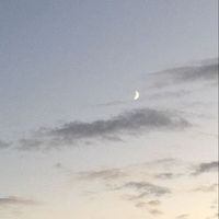 オリジナル楽曲 - 天輝