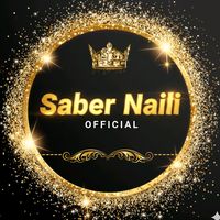 saber_naili_officail_17