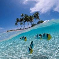 オリジナル楽曲 - WISH