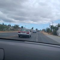 toral833